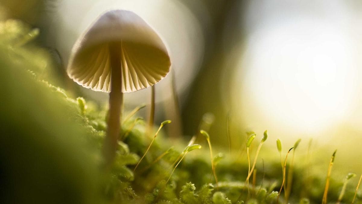 Urban Dance Jam in Köln