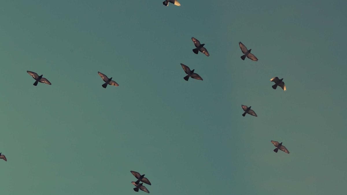 Brunch Session Köln – photo 2