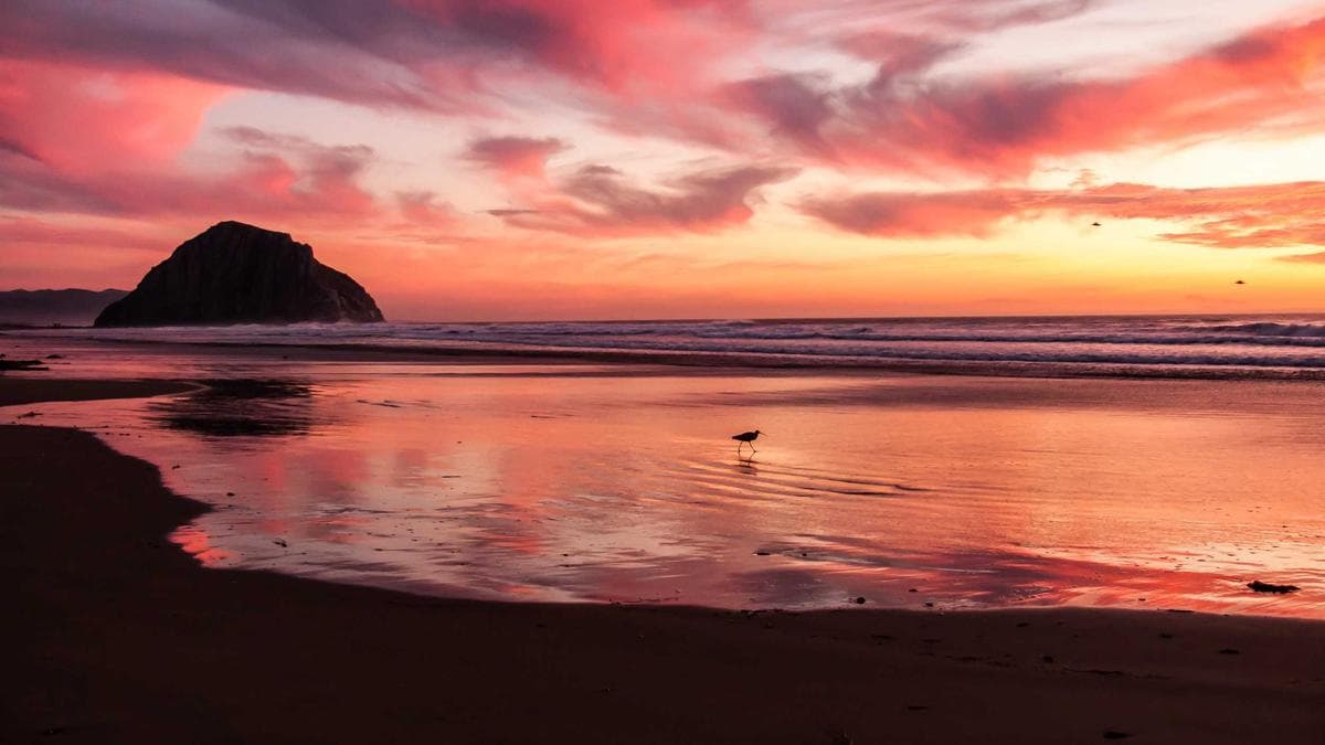 Jazz Night in Köln – photo 2