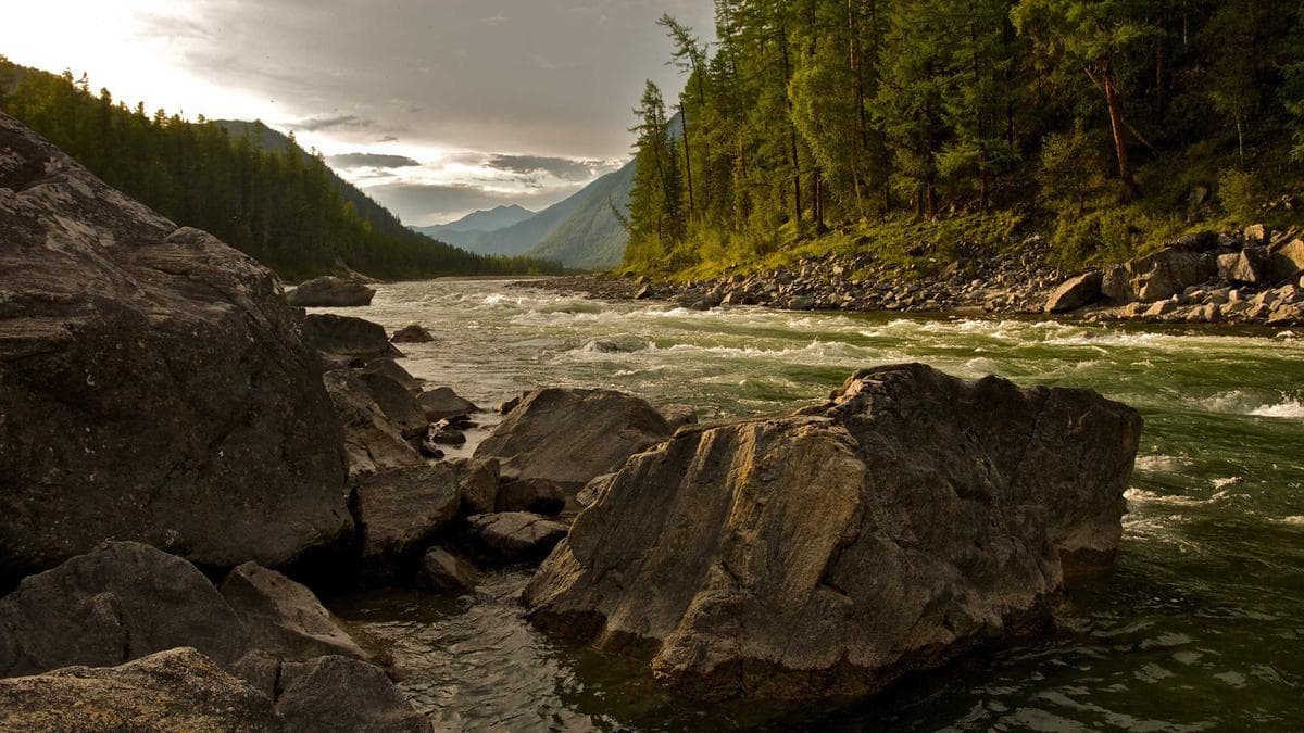 Board Game Evening Köln