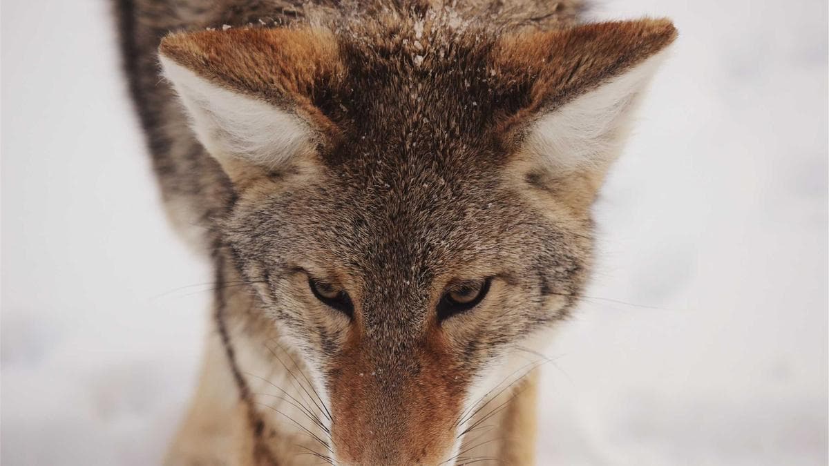 Student Startup Pitch Köln – photo 2