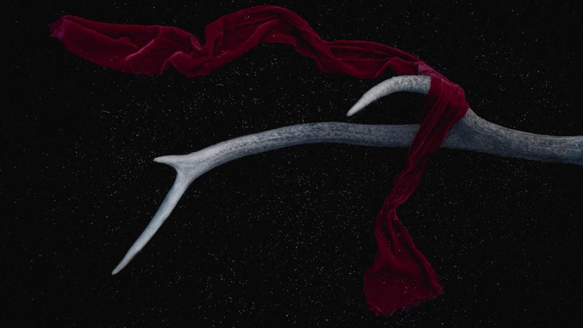 Contemporary Dance Lab Leipzig – photo 2