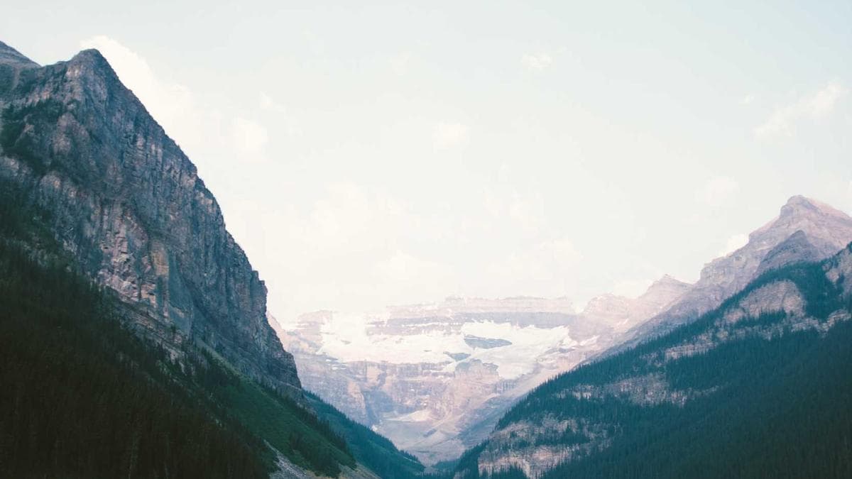 Contemporary Dance Lab Leipzig – photo 2