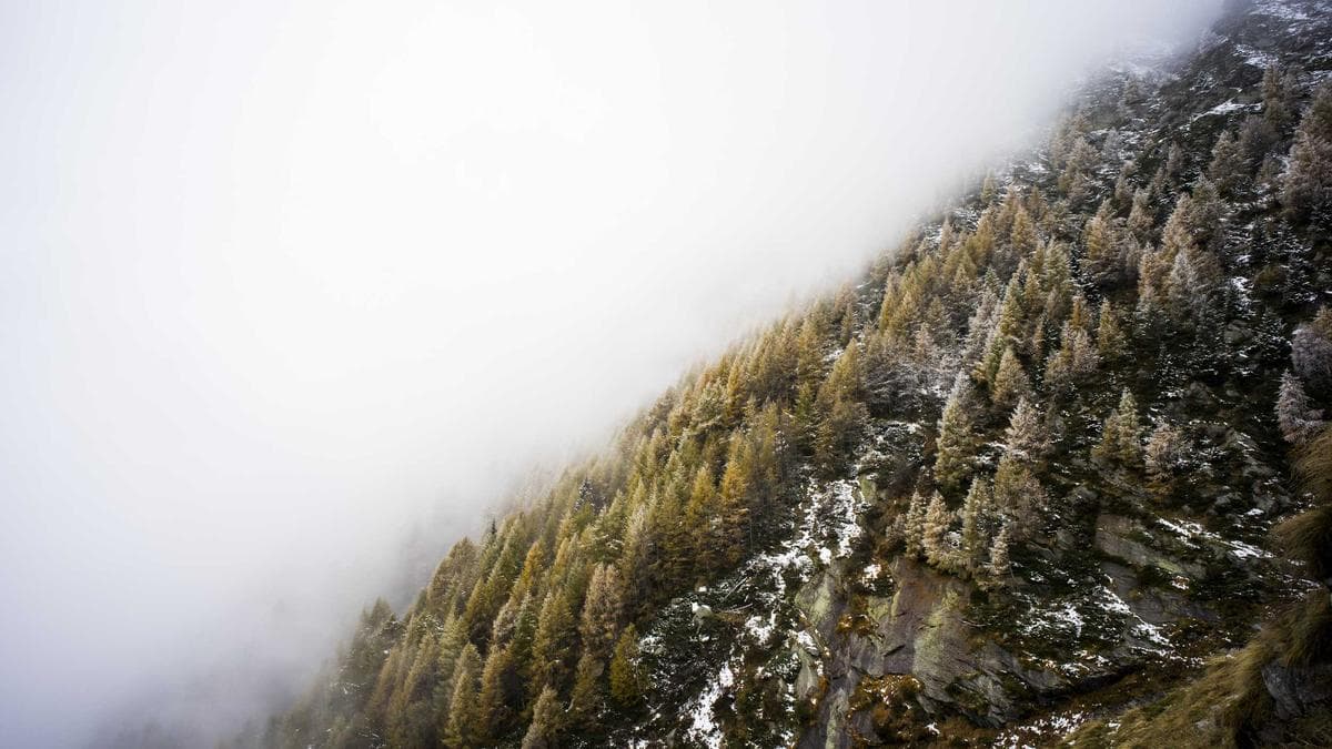 Sprachcafé Leipzig – photo 2