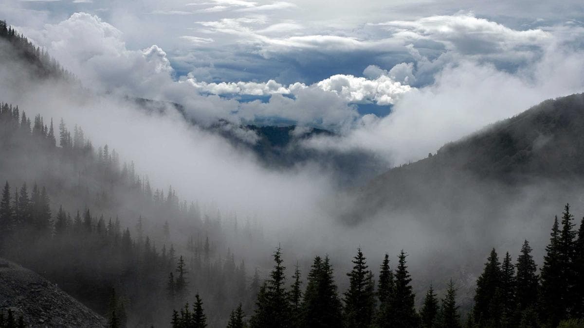 International Campus Meet Leipzig – photo 2