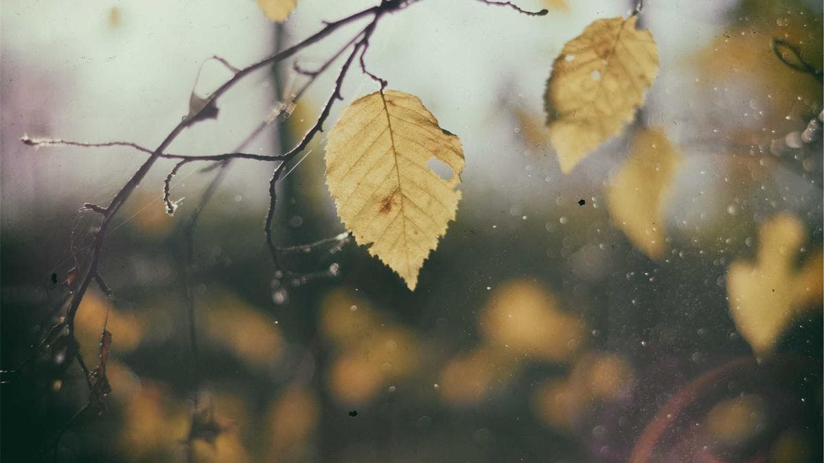 International Campus Meet Leipzig – photo 2