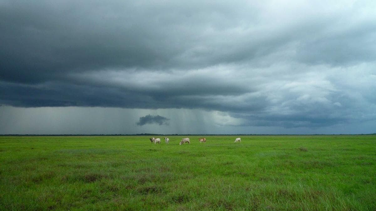 Aquarell Workshop Lübeck