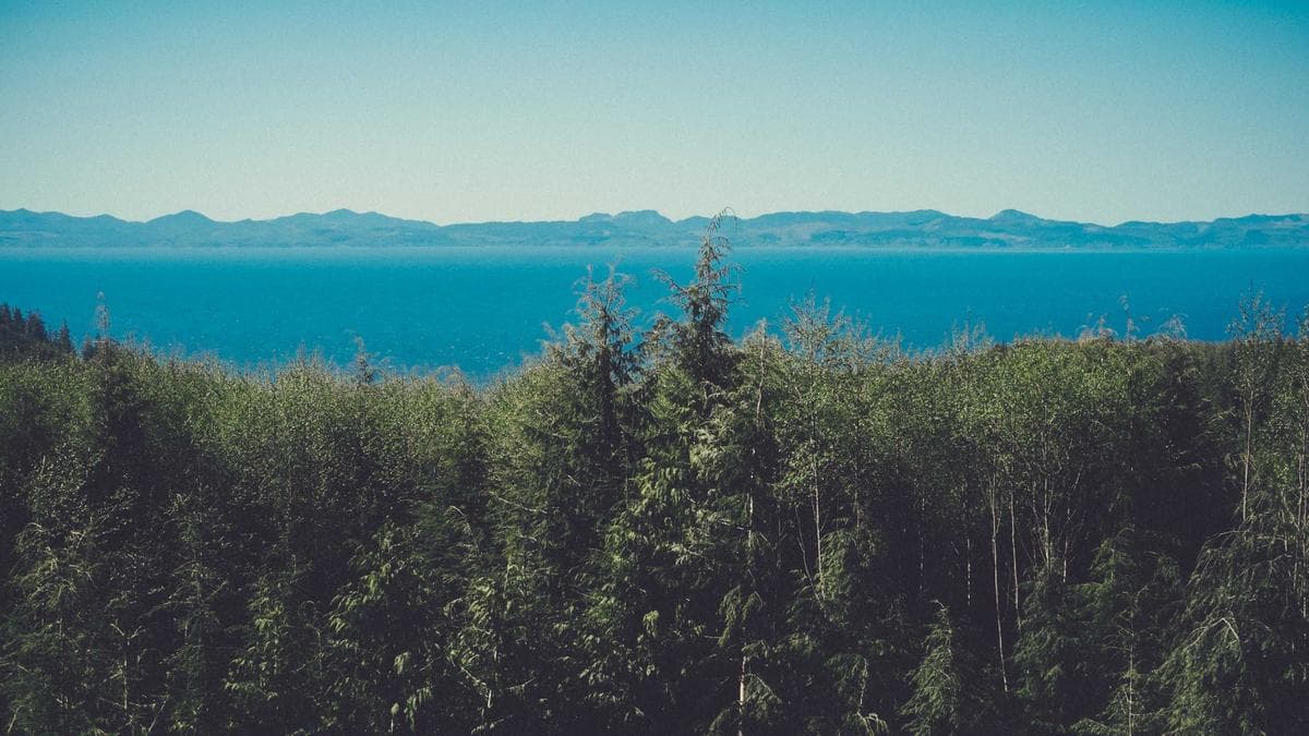 Aquarell Workshop Lübeck – photo 2