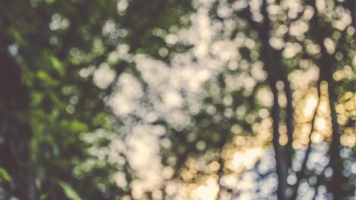 Beach Volleyball Cup Lübeck