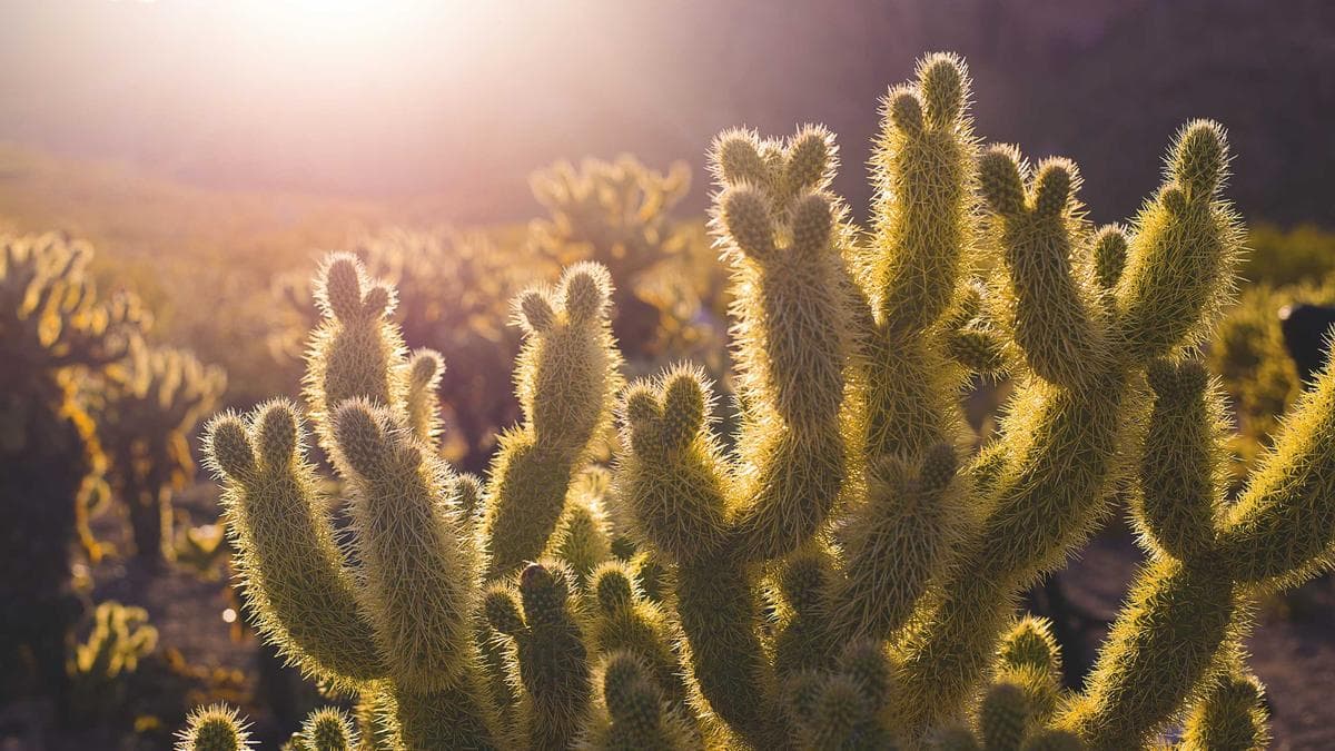 Founder Breakfast Mainz – photo 2