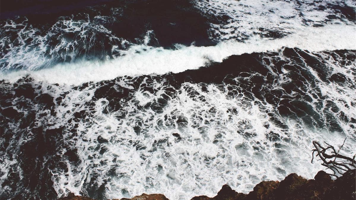 Study Skills Workshop Mainz – photo 2