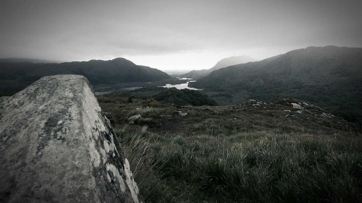 Wine Tasting Mannheim – photo 2