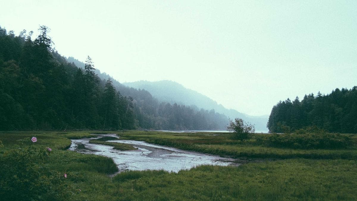 Indie Sessions München – photo 2