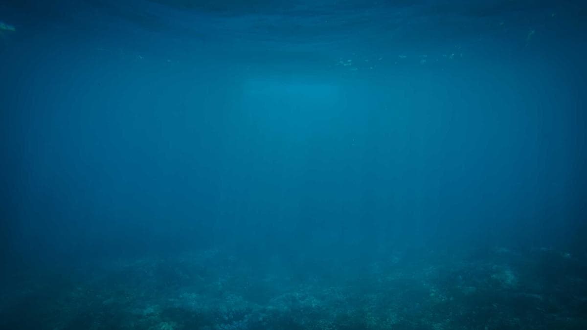 Craft Beer Flight Münster