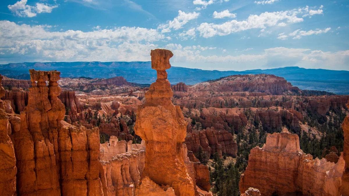 Open-Air Konzert in Münster