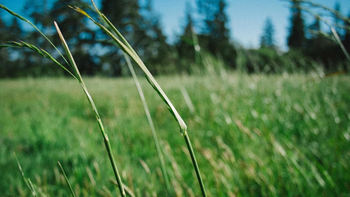 Jazz Night in Nürnberg – photo 2