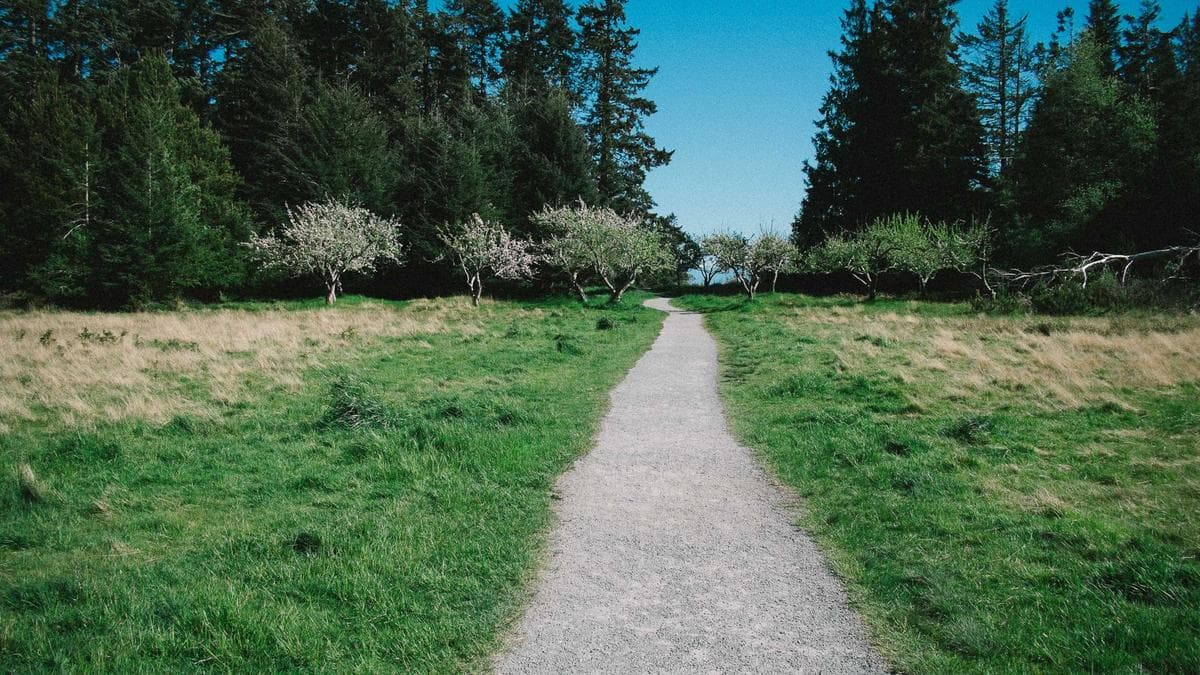 Quiz Night Nürnberg