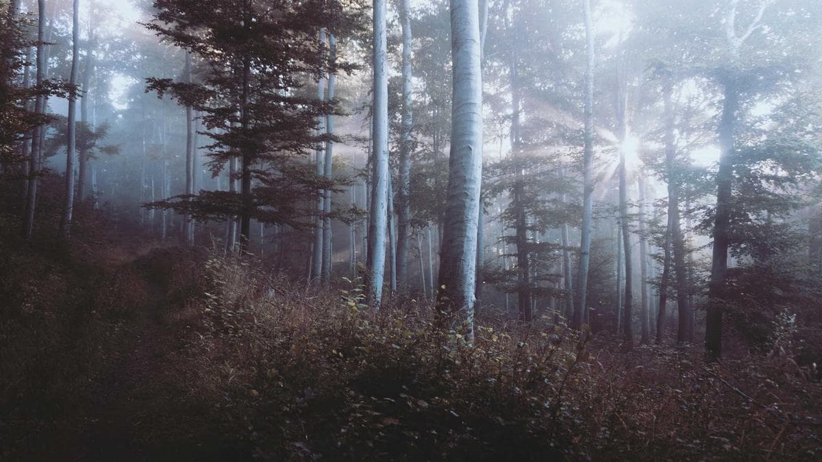 Outdoor Fitness Session Nürnberg – photo 2