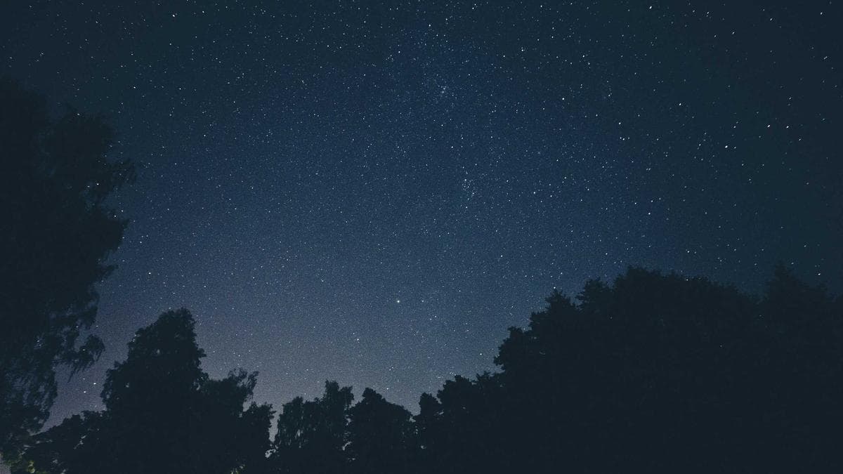 Street Food Weekend Regensburg – photo 2