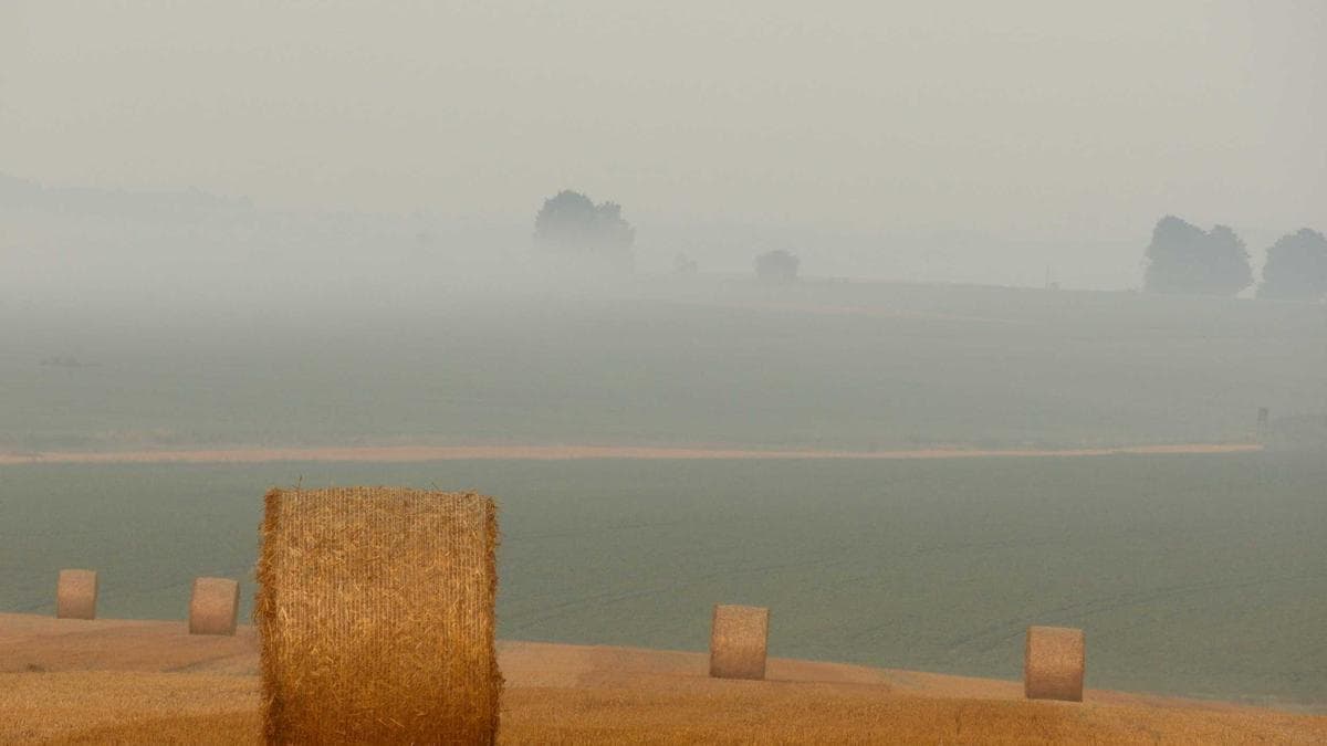 Beach Volleyball Cup Rostock – photo 2