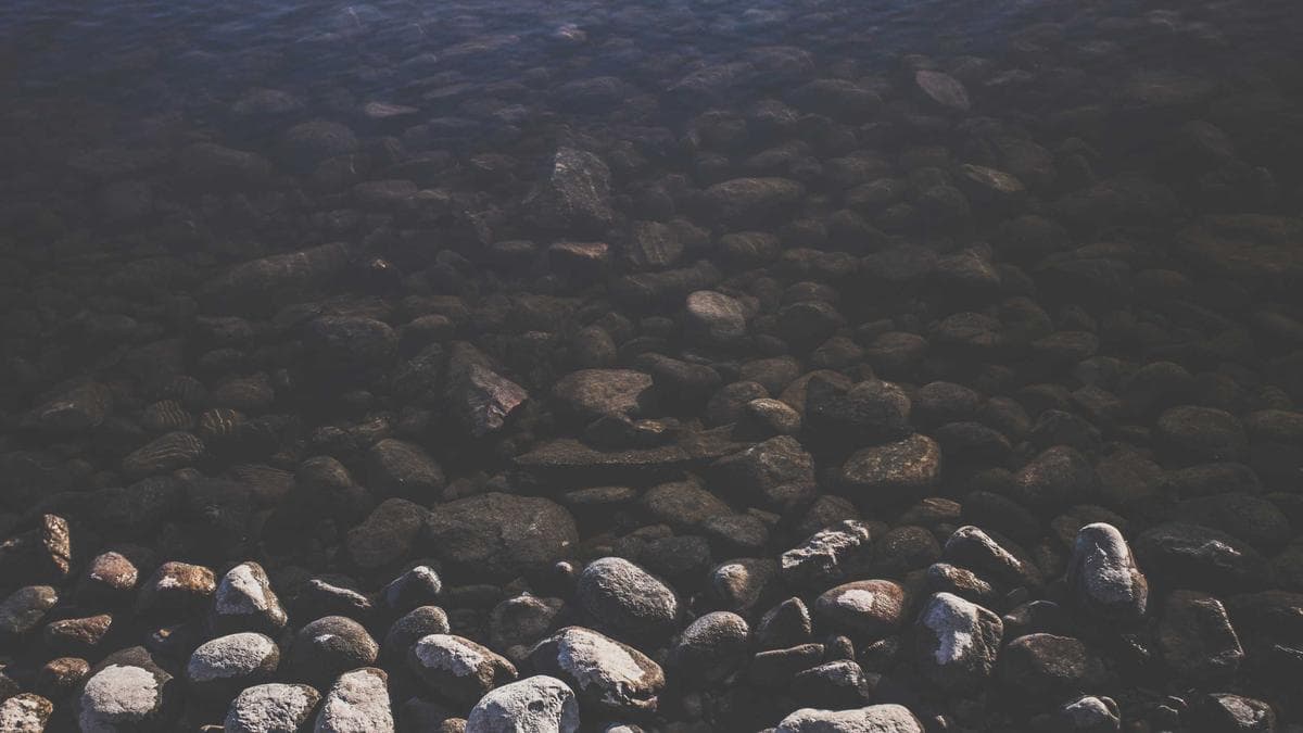 Life Drawing Saarbrücken