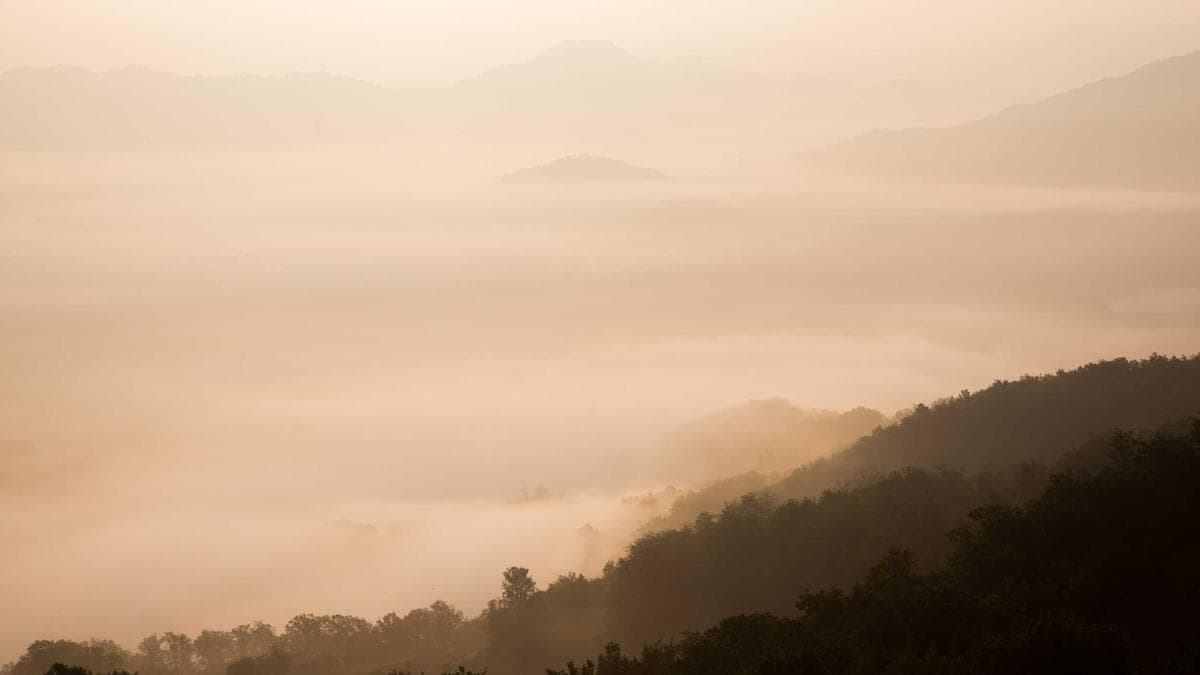 Nachbarschaftsfest Stuttgart