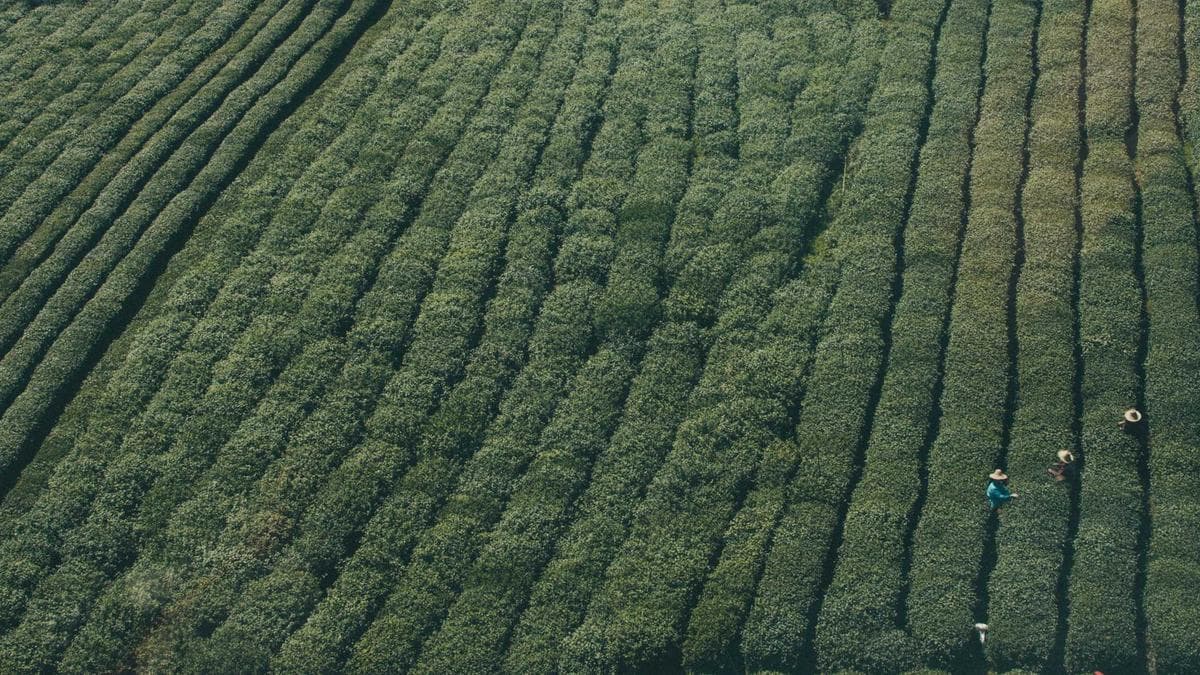 Outdoor Fitness Session Stuttgart – photo 2