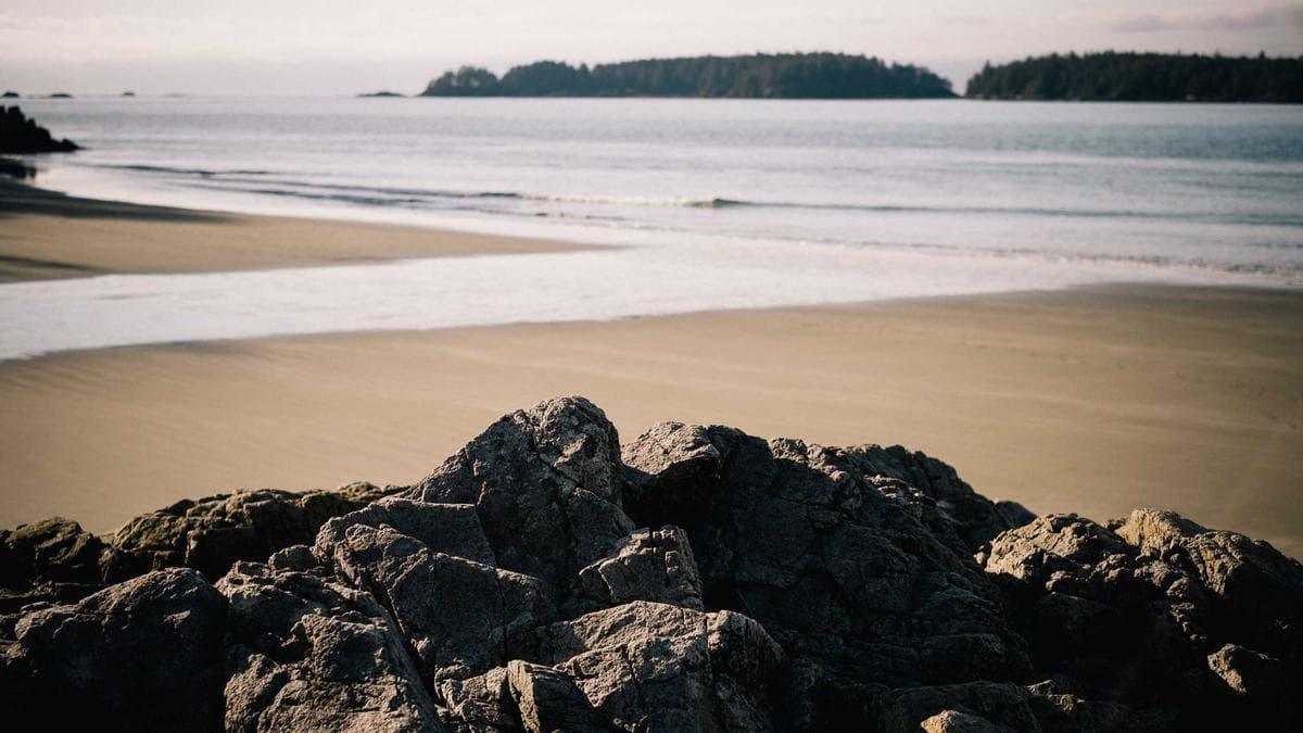 Wine Tasting Tübingen – photo 2