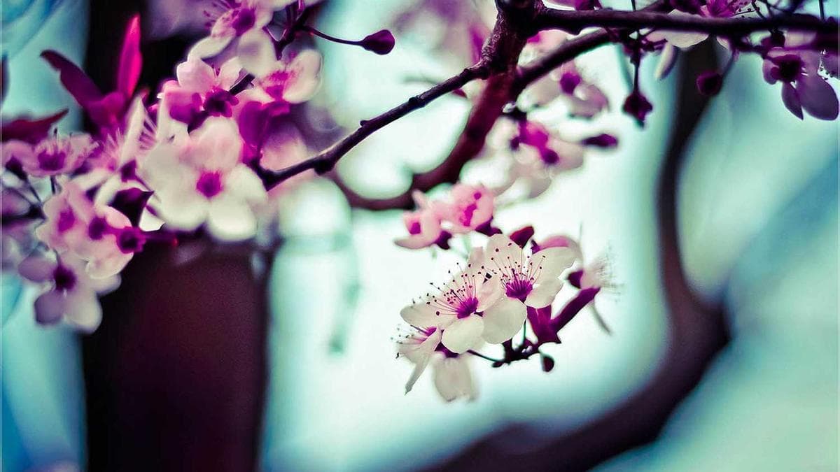 Deutsch Practice Circle Tübingen – photo 2