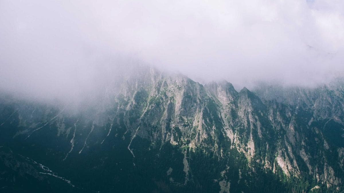 Nachbarschaftsfest Weimar