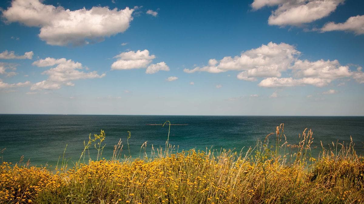 Stadtkultur Walk Weimar – photo 2