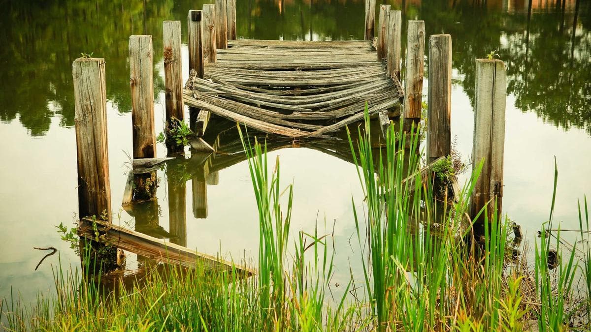 Contemporary Dance Lab Würzburg