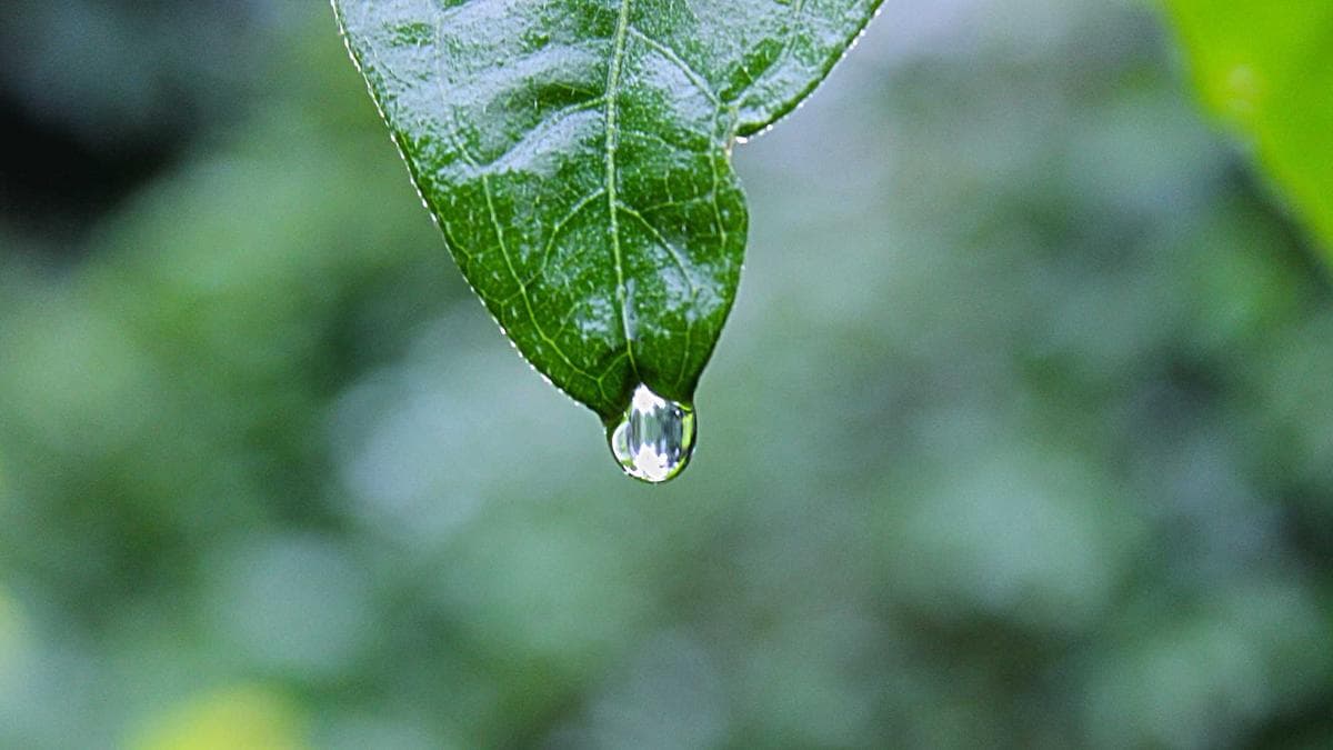 Impact Networking Würzburg