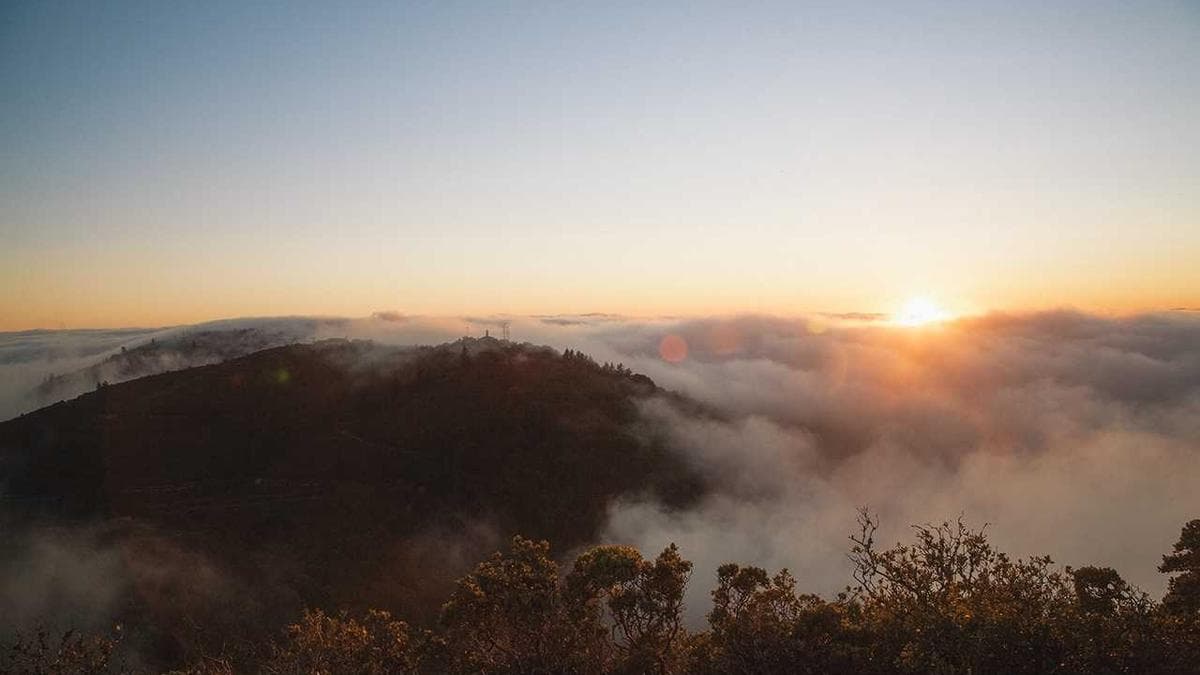Community Run Würzburg