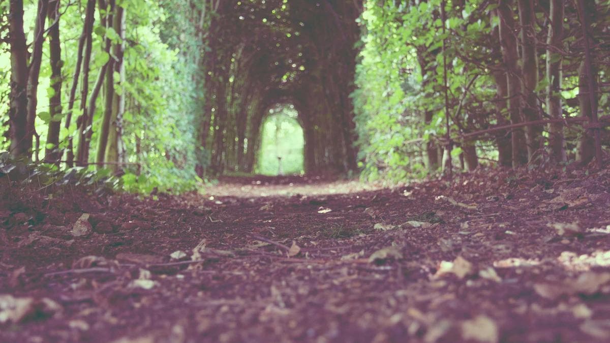 Campus Career Night Würzburg – photo 2